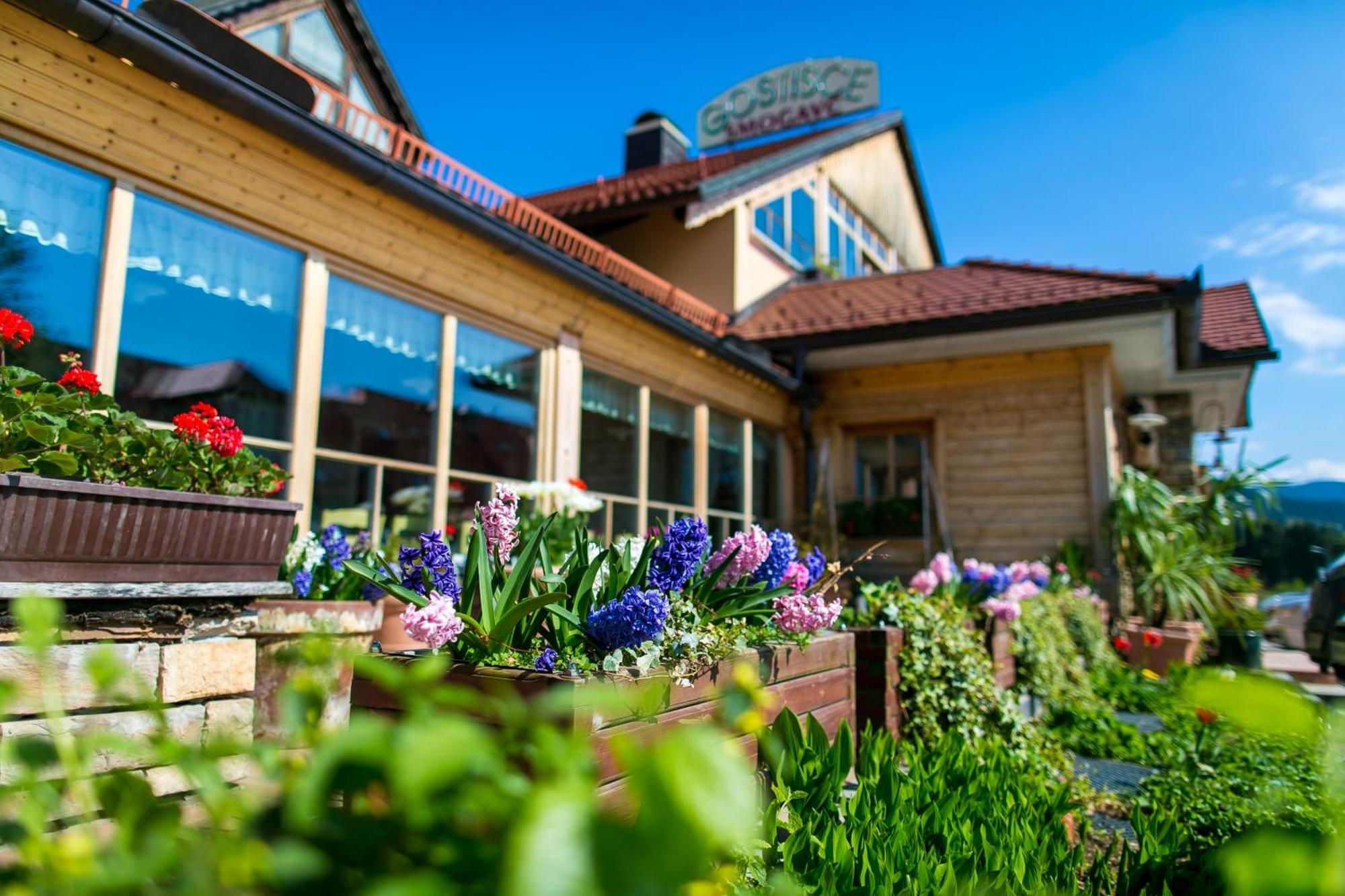 Guesthouse Smogavc Зрече Экстерьер фото